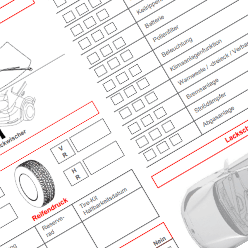 Urlaubscheck Auto Deckers Schlangen
